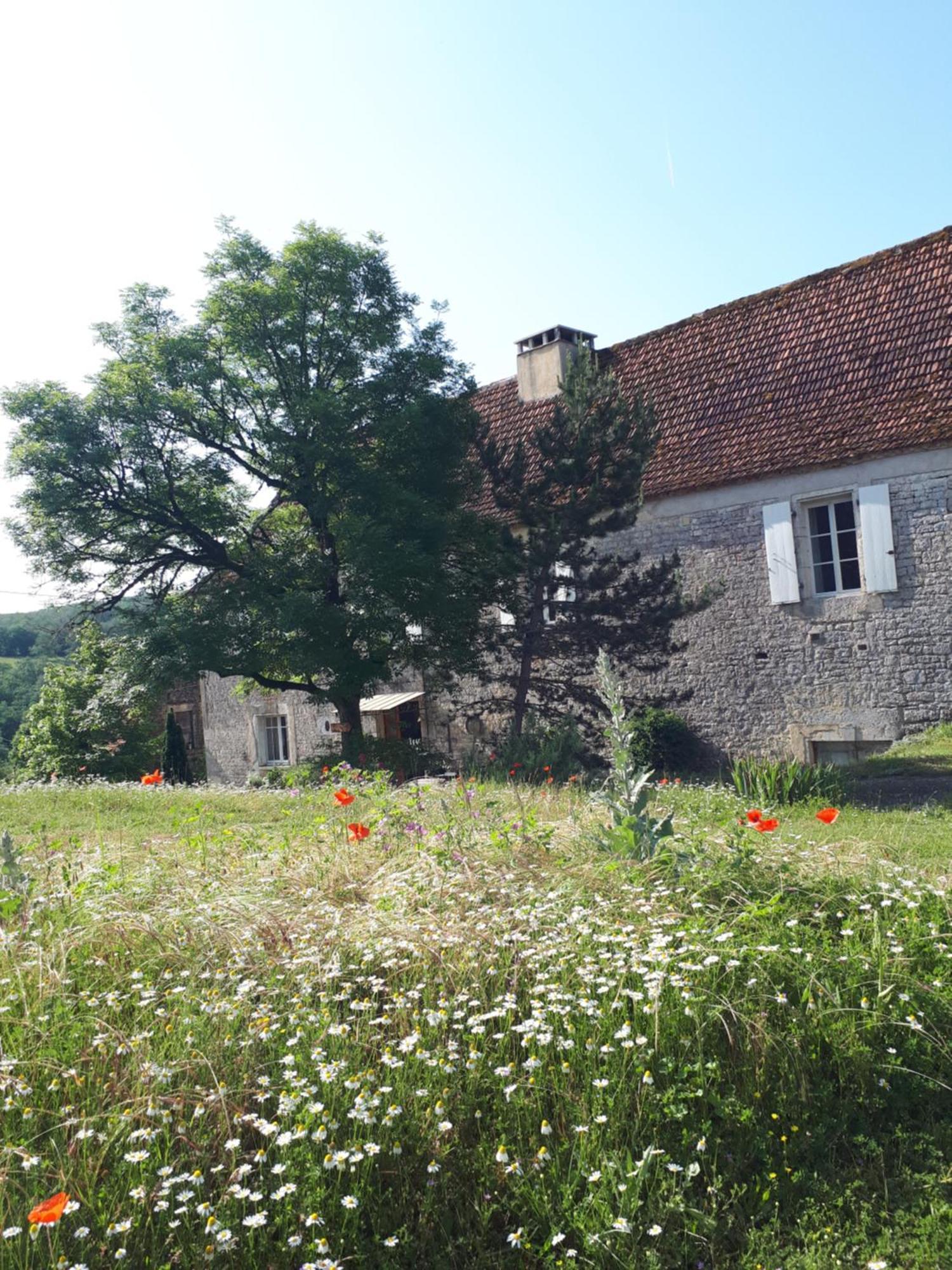 La Ferme De Roquedure Hotel Montfaucon  ภายนอก รูปภาพ
